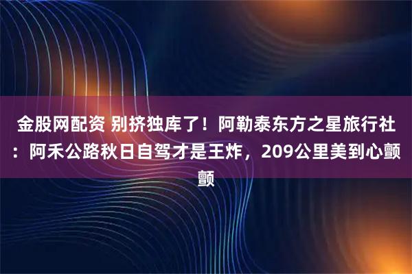 金股网配资 别挤独库了！阿勒泰东方之星旅行社：阿禾公路秋日自驾才是王炸，209公里美到心颤
