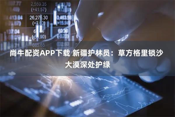 尚牛配资APP下载 新疆护林员：草方格里锁沙 大漠深处护绿