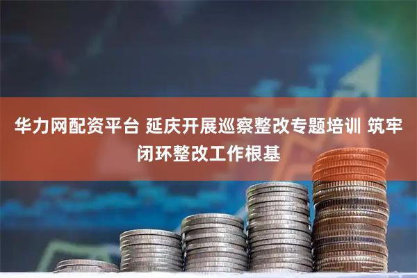 华力网配资平台 延庆开展巡察整改专题培训 筑牢闭环整改工作根基