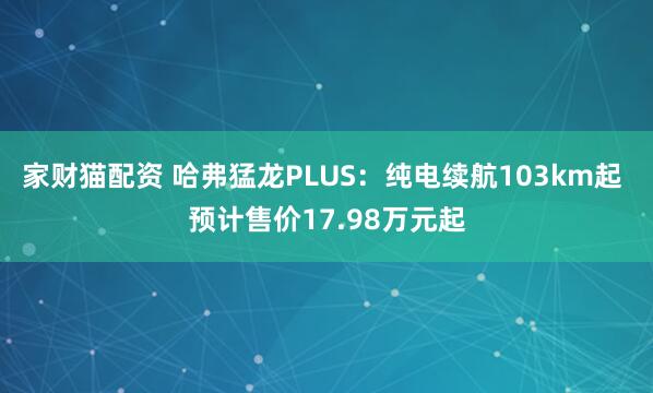 家财猫配资 哈弗猛龙PLUS：纯电续航103km起 预计售价17.98万元起