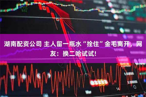 湖南配资公司 主人留一瓶水“拴住”金毛离开，网友：换二哈试试!